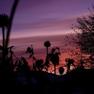 Meet your Posher, Vicki